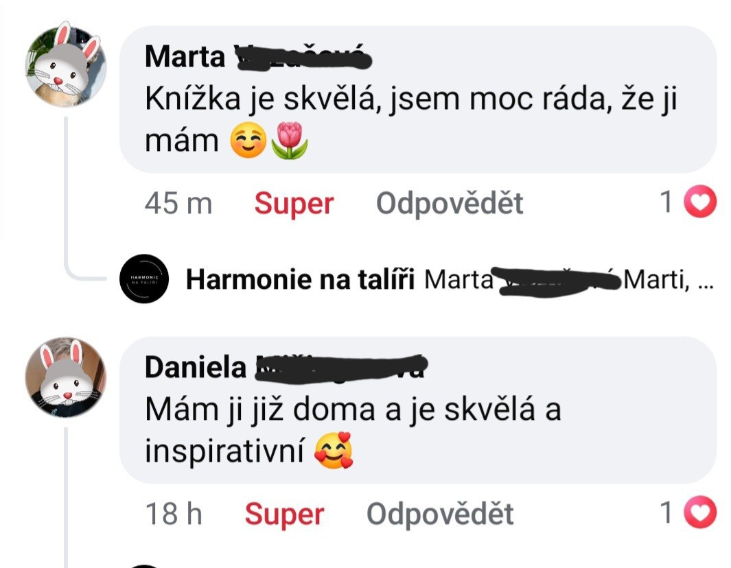 Skutečná recenze čtenářek knihy na Facebooku